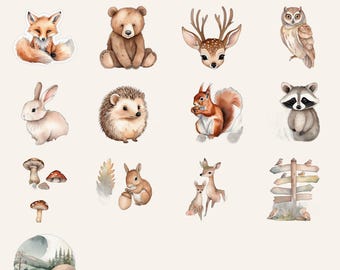 Woodland Animals Clipart PNG Bundle