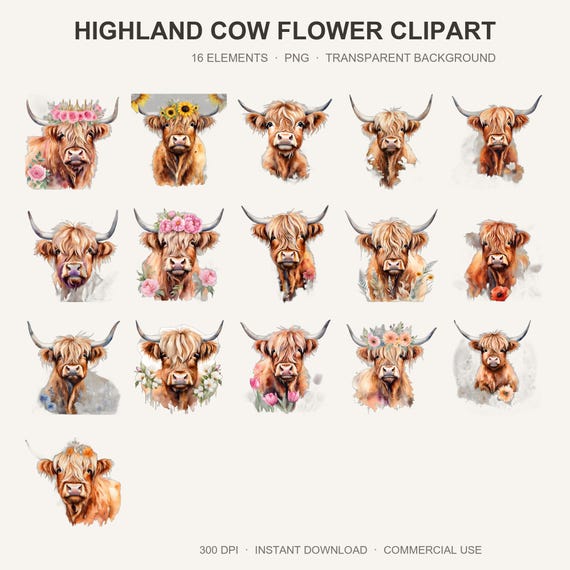 Highland Cow Flower Clipart