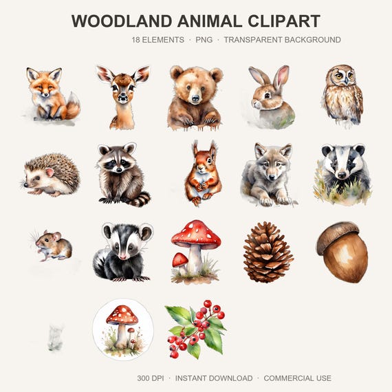 Woodland Animal Clipart