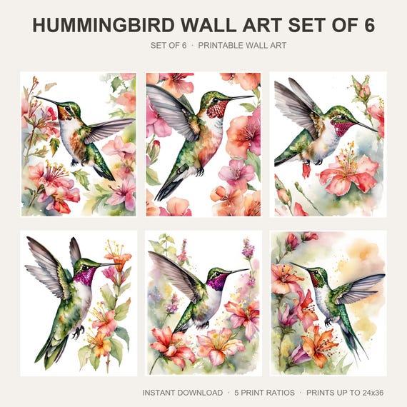 Hummingbird Wall Art Set of 6