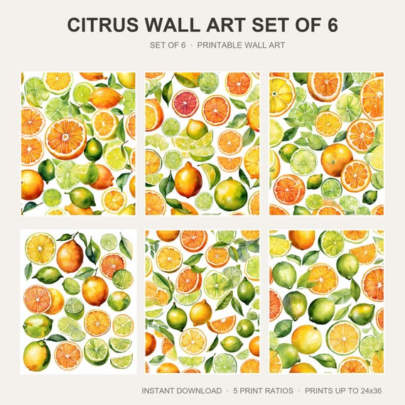 Citrus Wall Art Set of 6