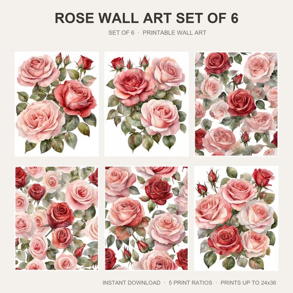 Rose Wall Art Set of 6