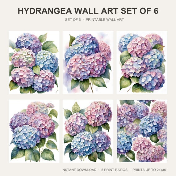 Hydrangea Wall Art Set of 6