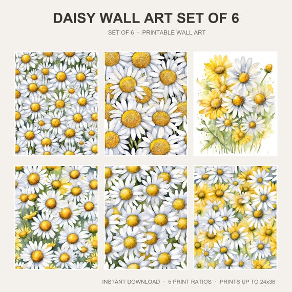 Daisy Wall Art Set of 6