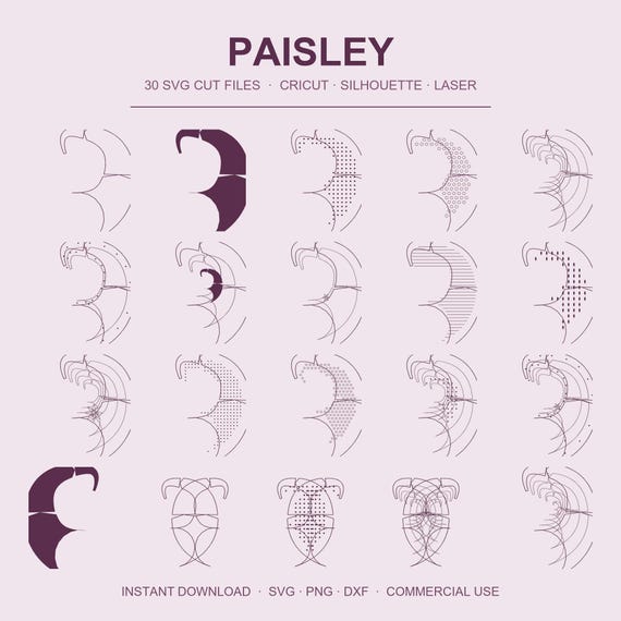 Paisley SVG Bundle