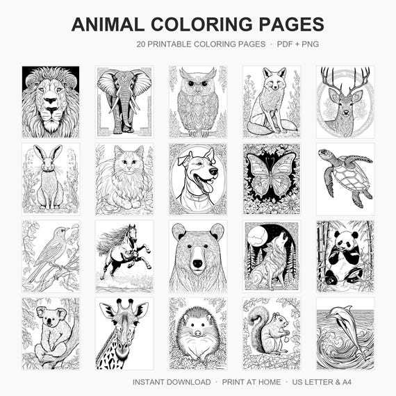 Animal Coloring Pages