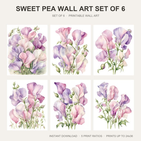 Sweet Pea Wall Art Set of 6
