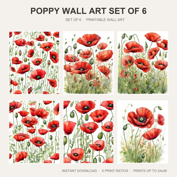 Poppy Wall Art Set of 6