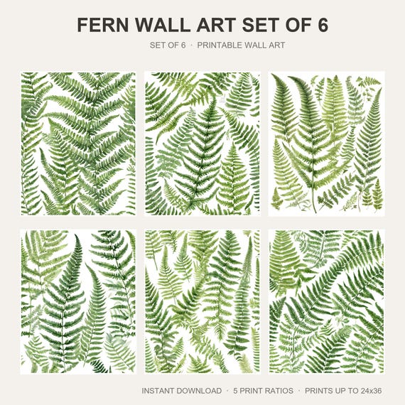 Fern Wall Art Set of 6