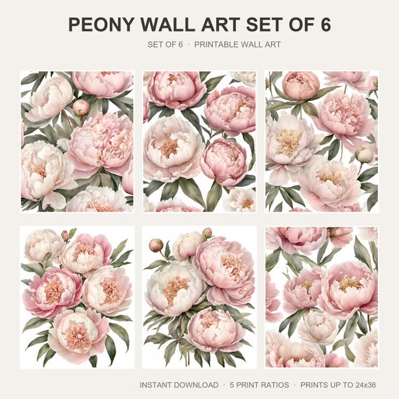 Peony Wall Art Set of 6