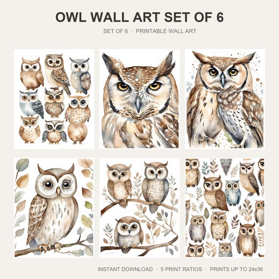 Owl Wall Art Set of 6