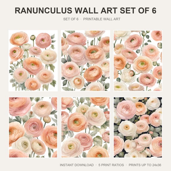 Ranunculus Wall Art Set of 6