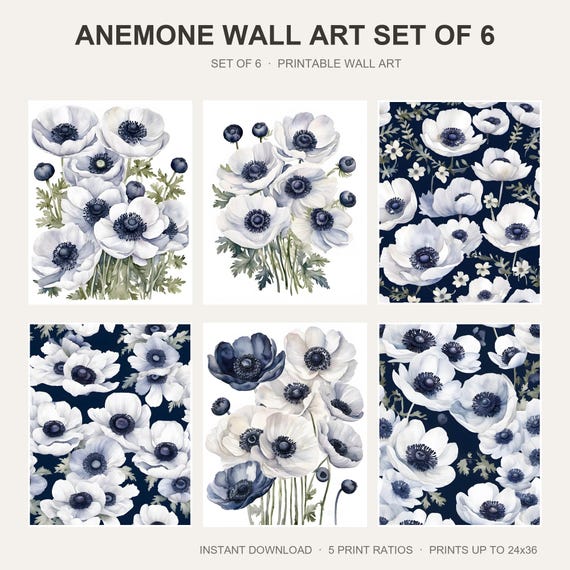 Anemone Wall Art Set of 6