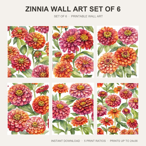 Zinnia Wall Art Set of 6