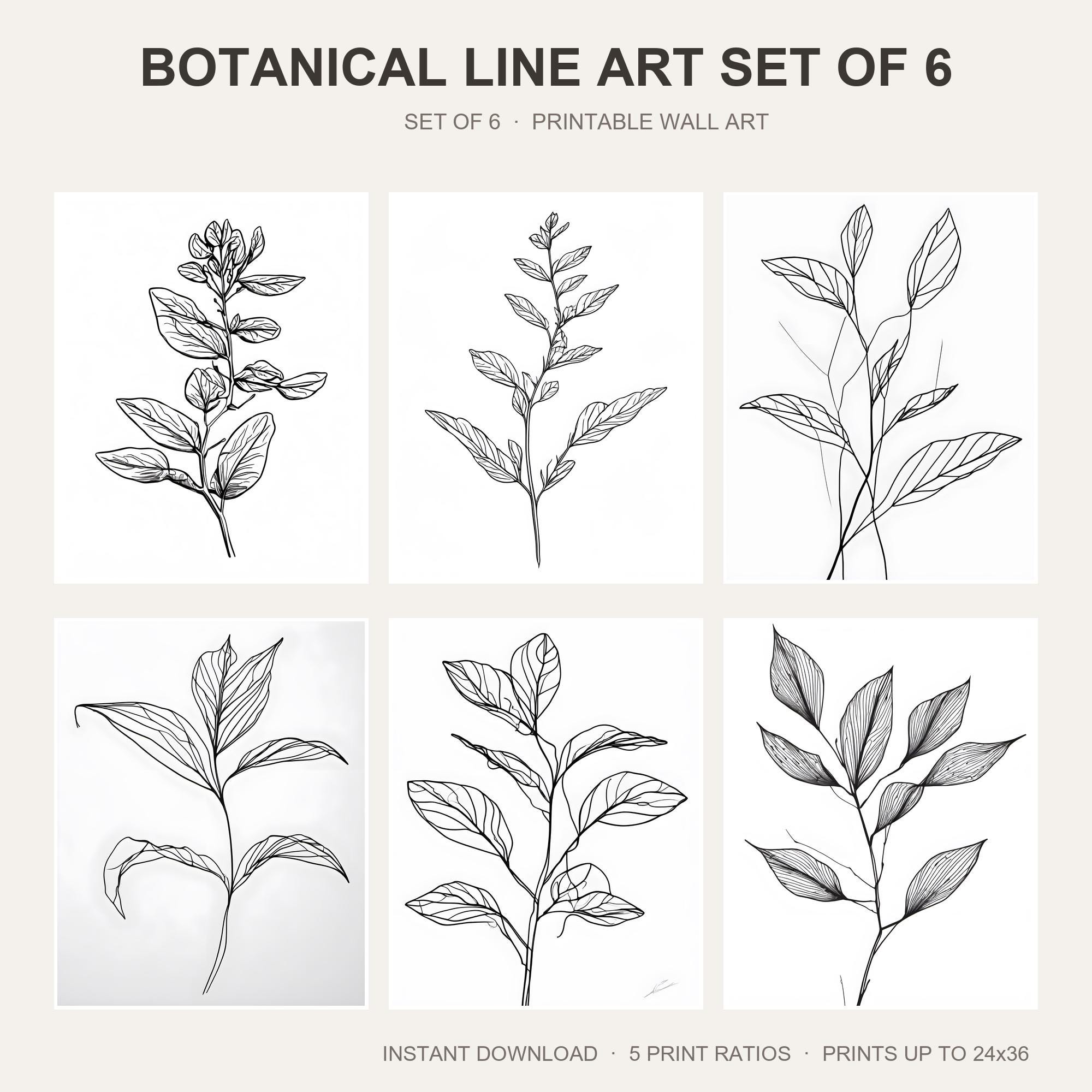 Botanical Line Art Set of 6