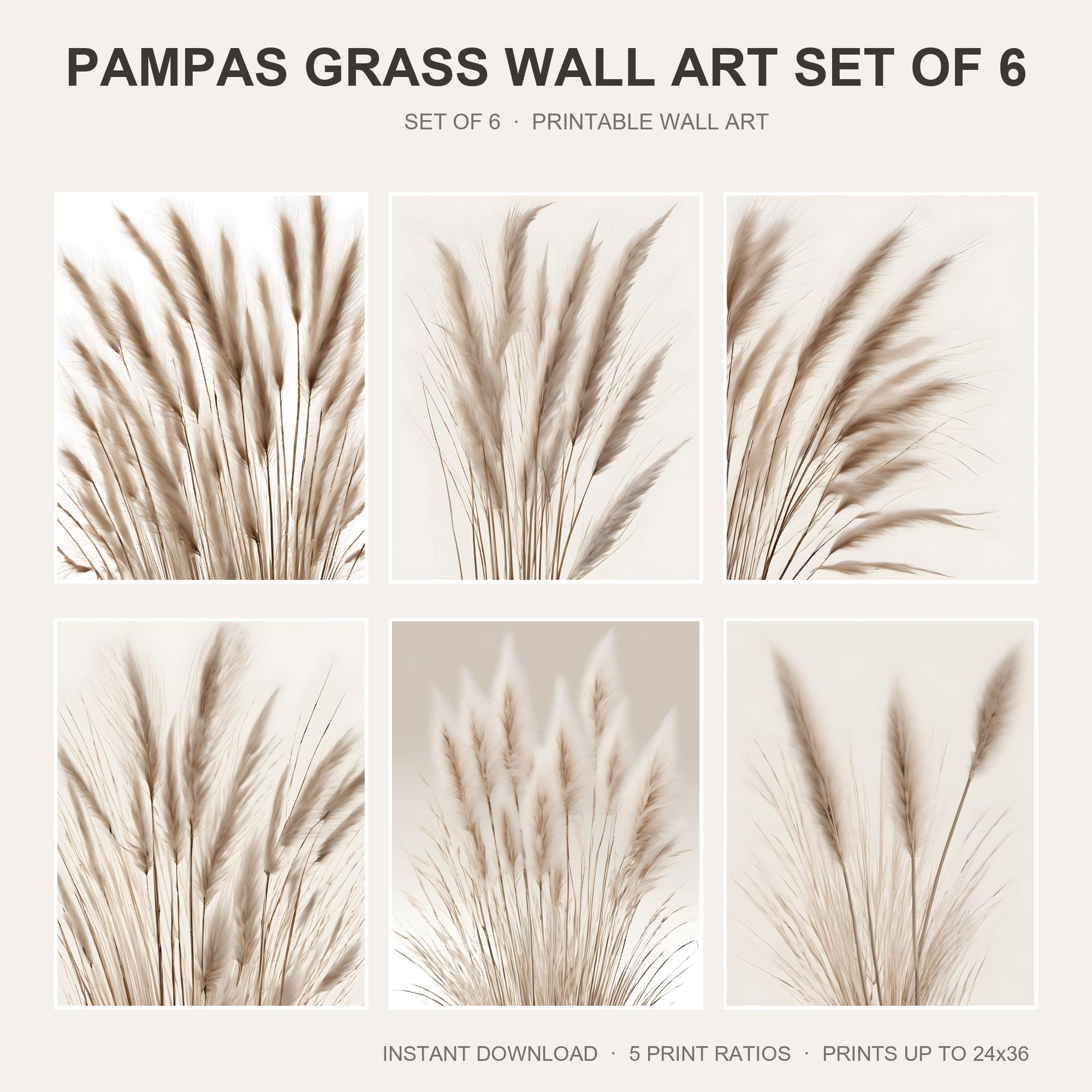 Pampas Grass Wall Art Set of 6 | Boho Neutral Printable Wall Art | Minimalist Dried Grass