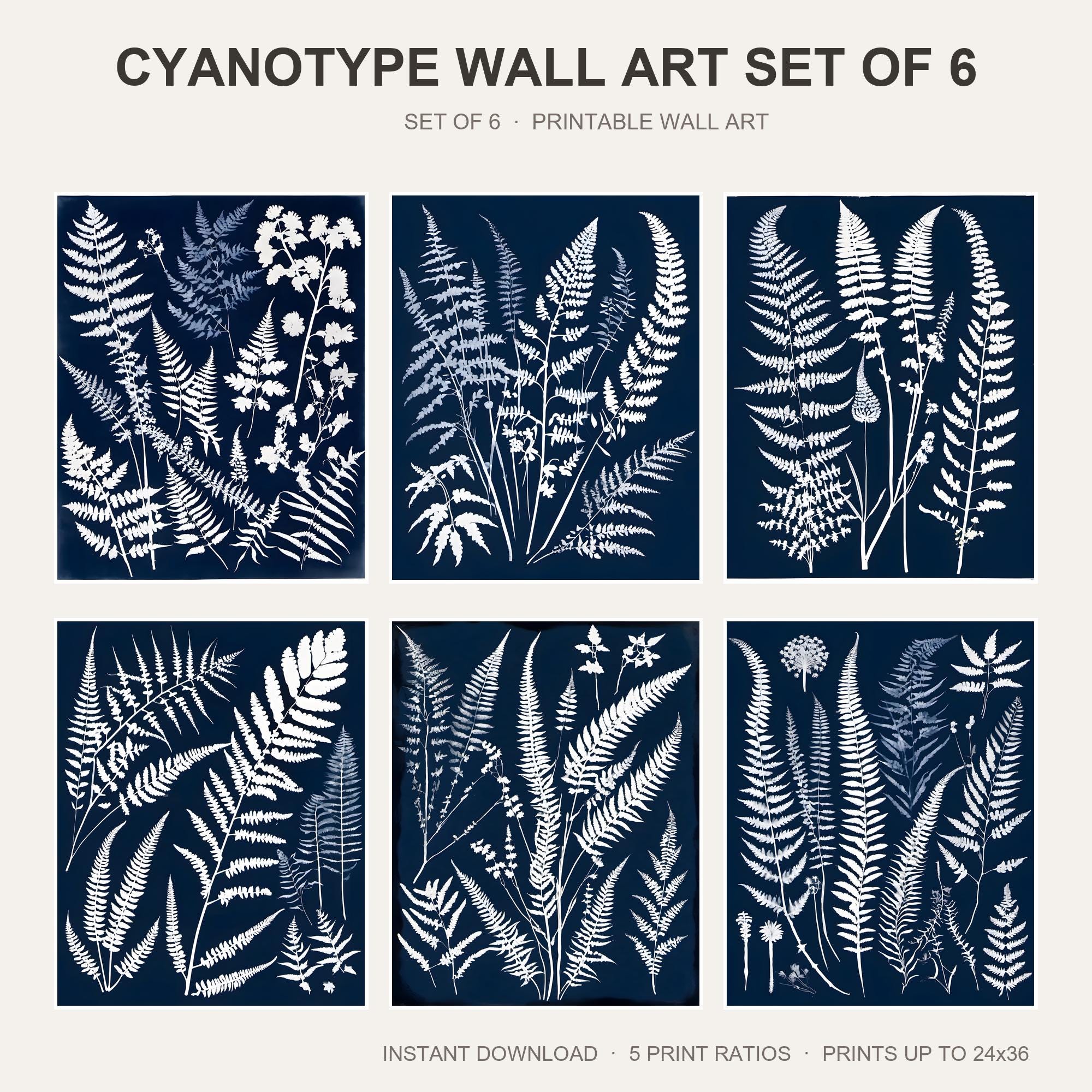 Cyanotype Wall Art Set of 6 | Blue Botanical Printable Wall Art | Vintage Fern Sun Print S