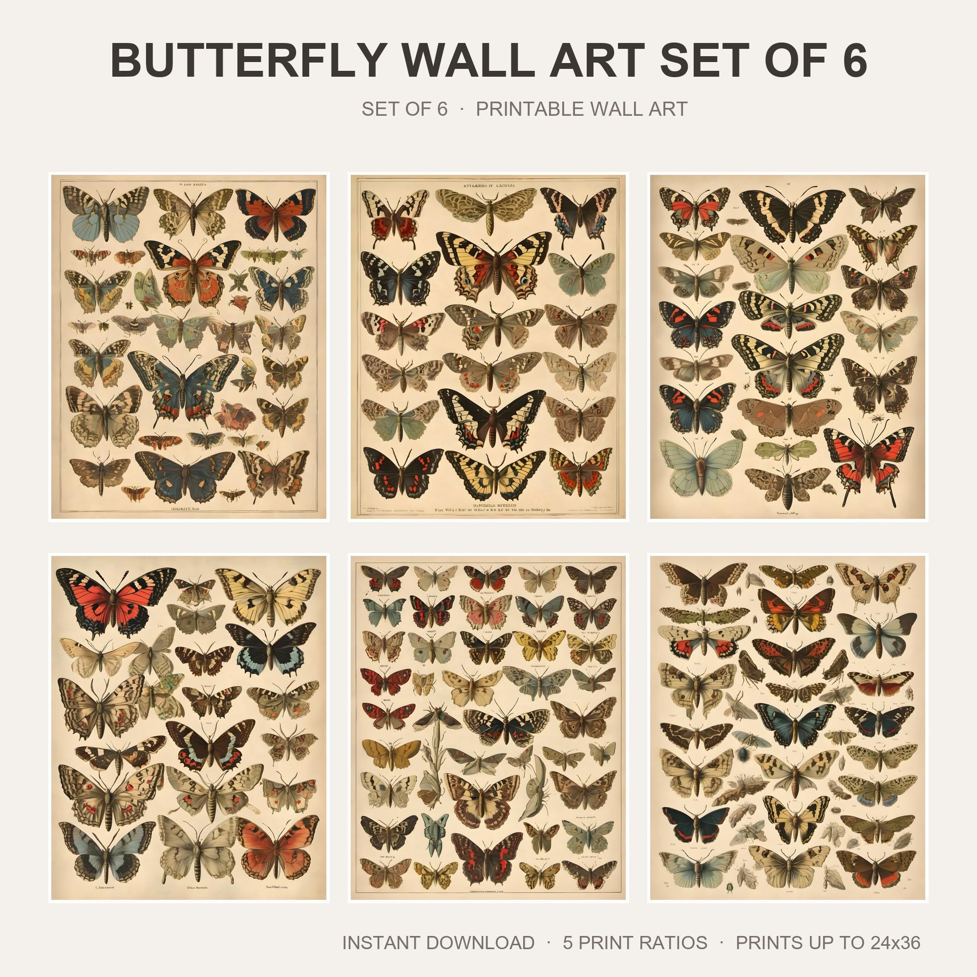 Butterfly Wall Art Set of 6