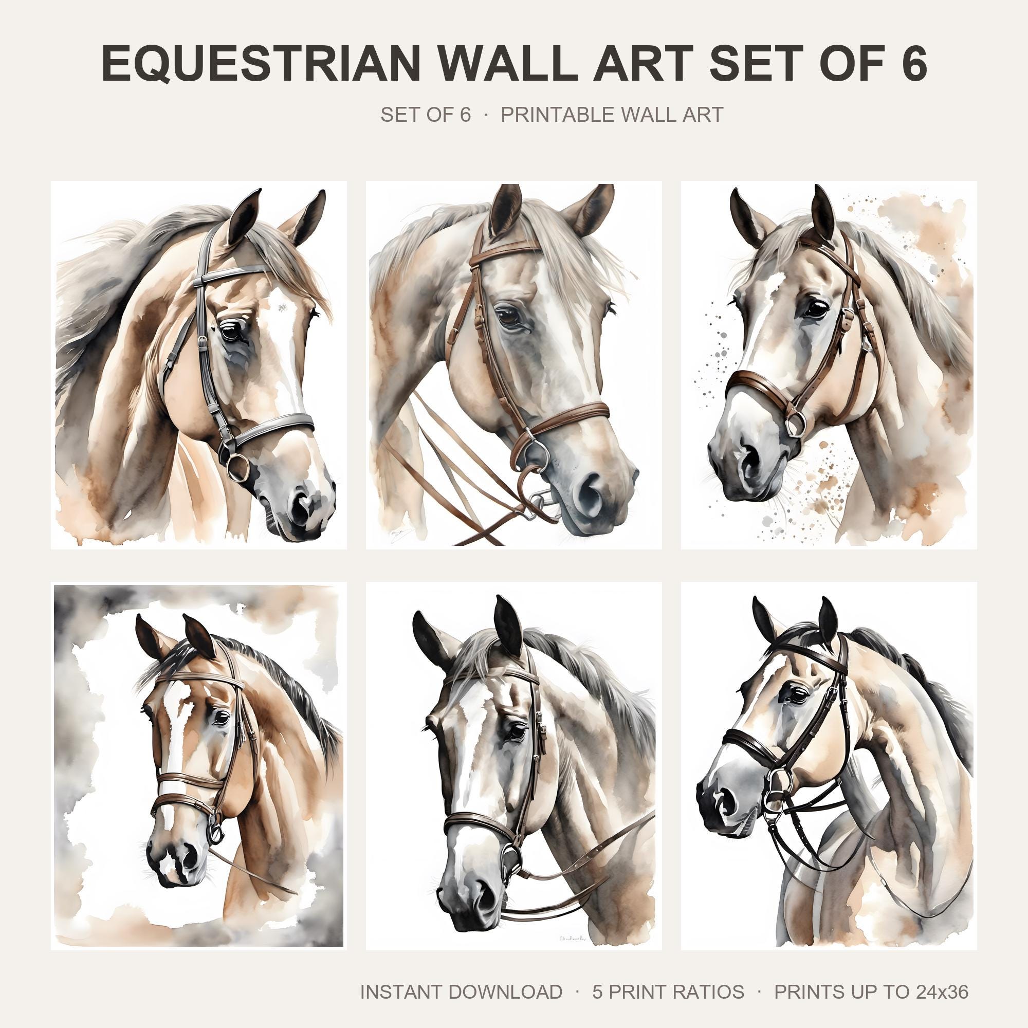 Equestrian Wall Art Set of 6
