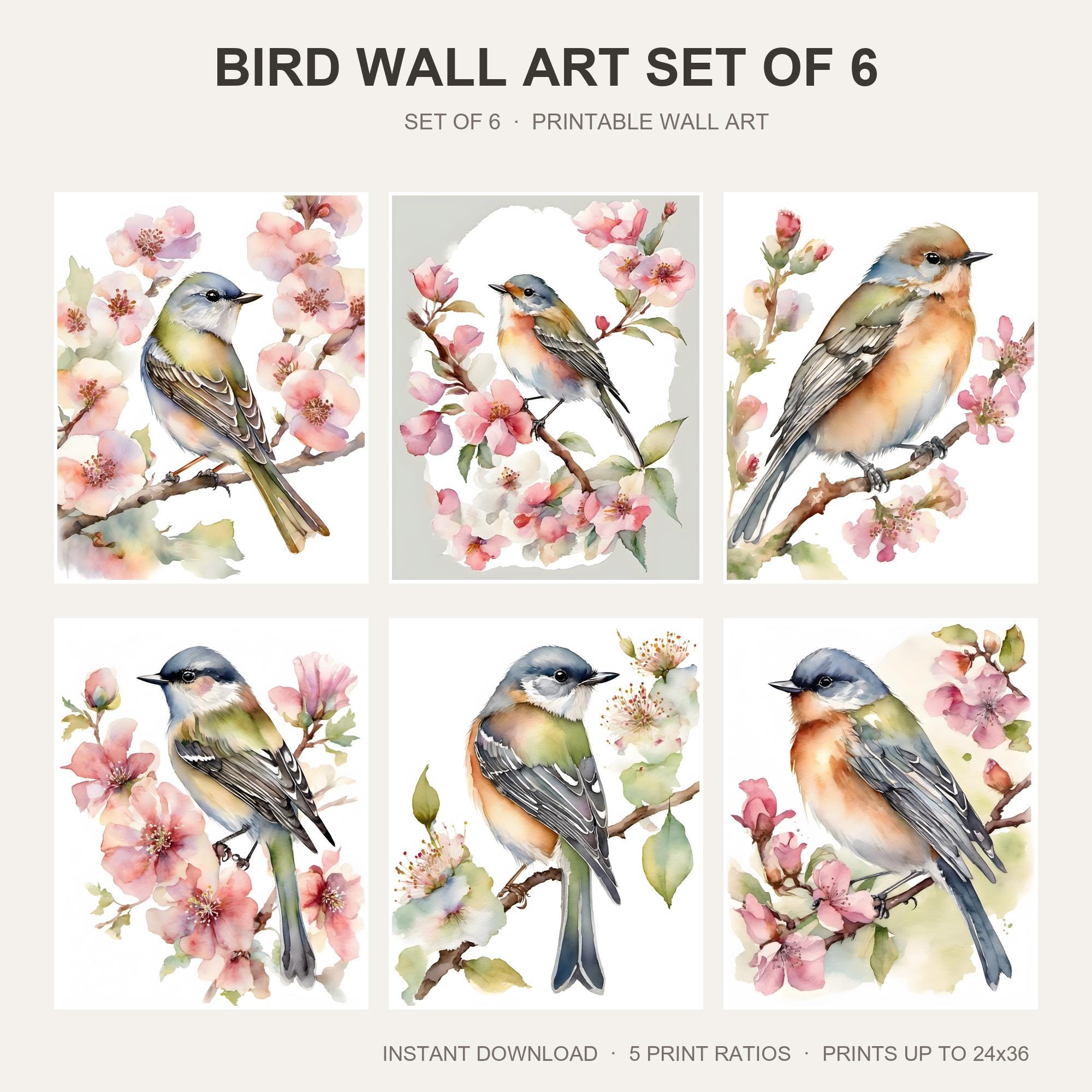 Bird Wall Art Set of 6