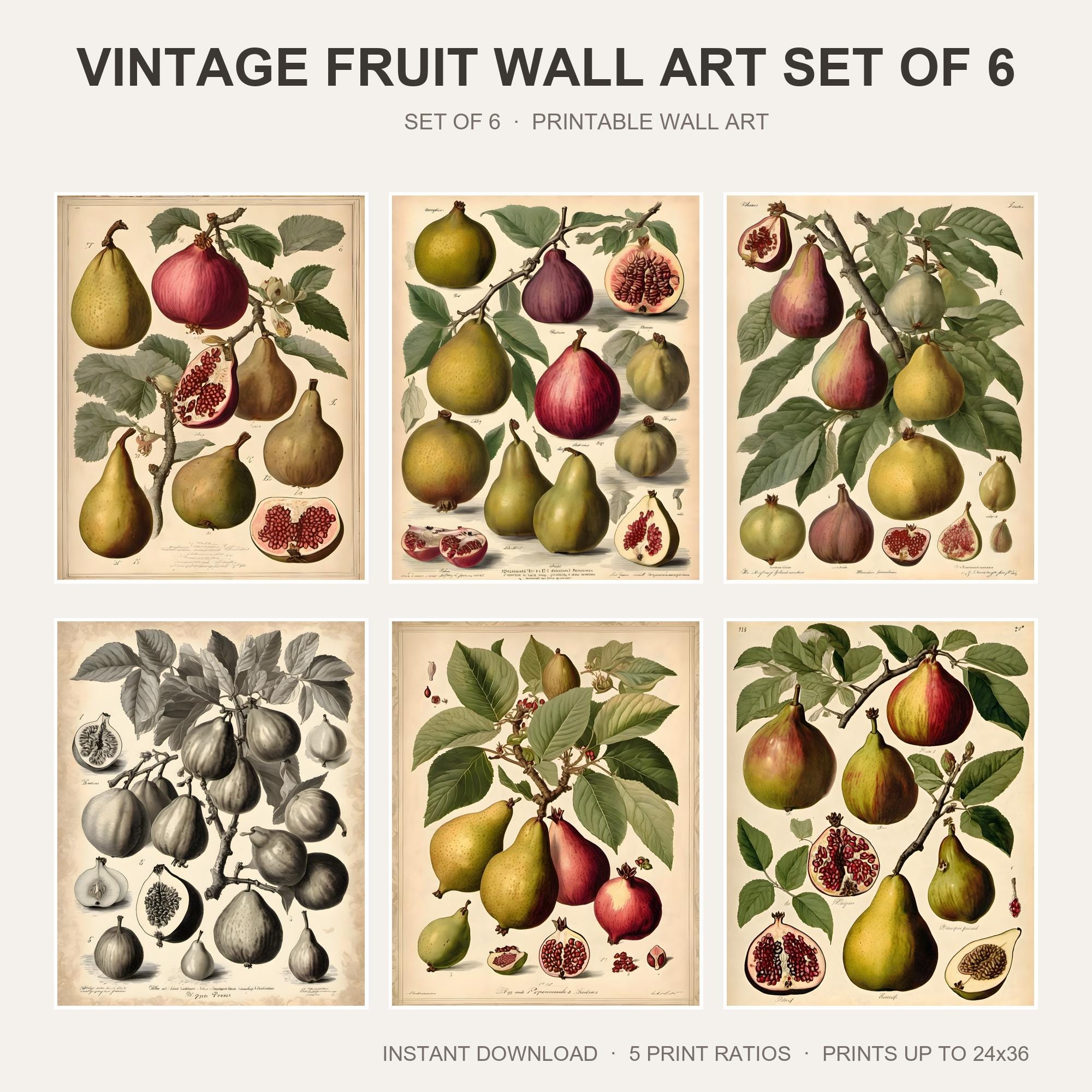 Vintage Fruit Wall Art Set of 6 | Antique Botanical Printable Wall Art | Kitchen Fig Pear