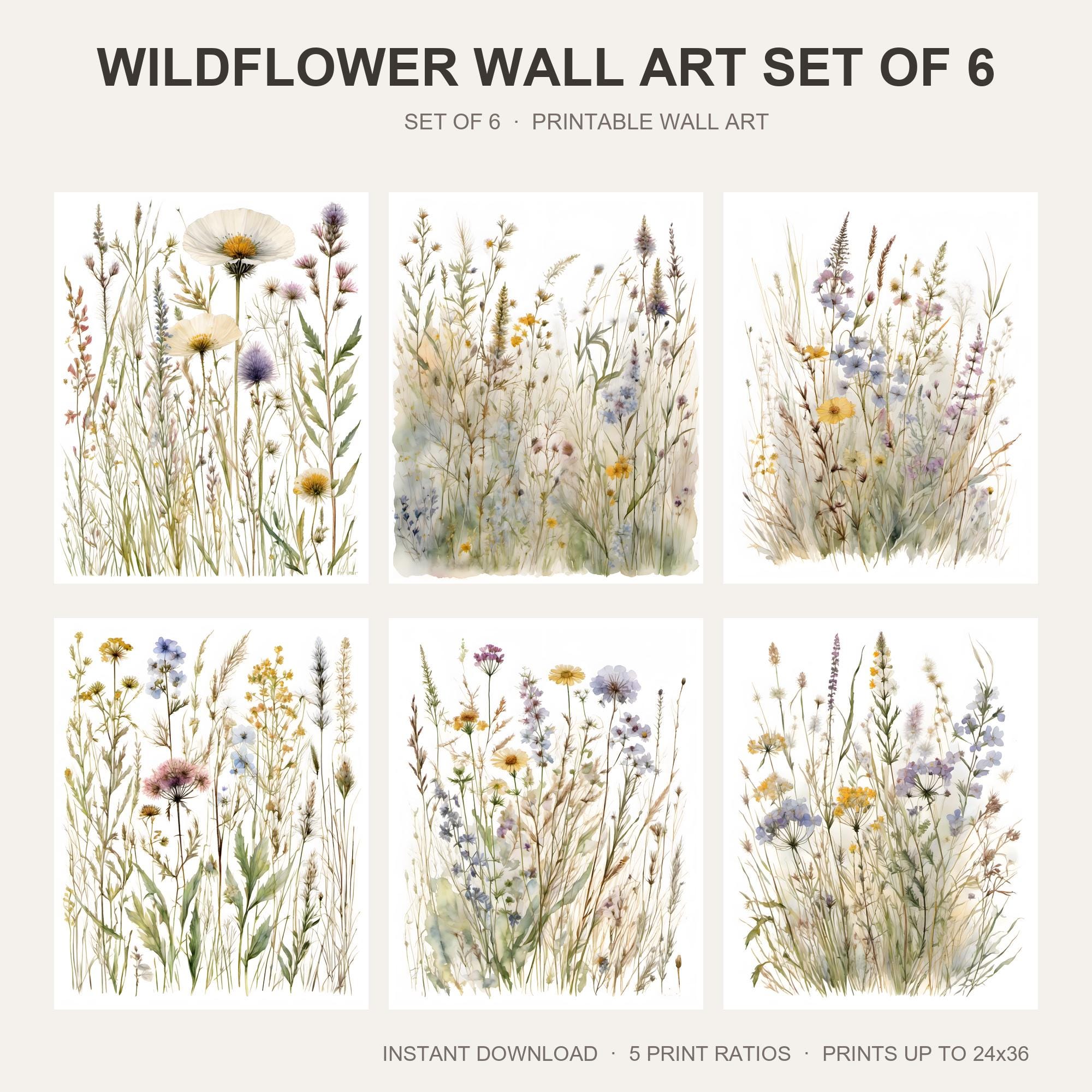 Wildflower Wall Art Set of 6