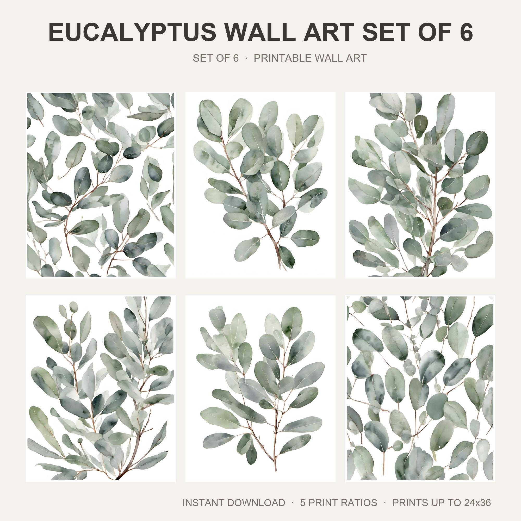 Eucalyptus Wall Art Set of 6