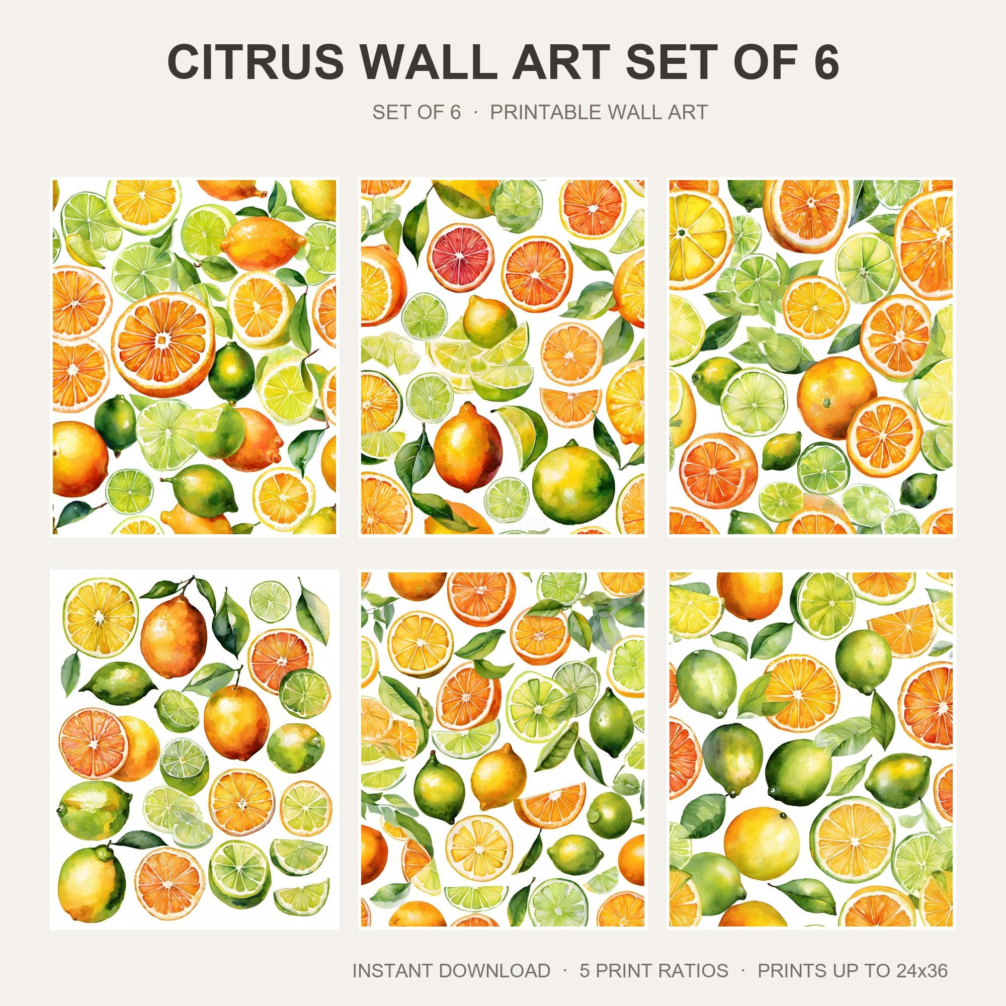 Citrus Wall Art Set of 6 | Watercolor Fruit Printable Wall Art | Bright Summer Kitchen Pri