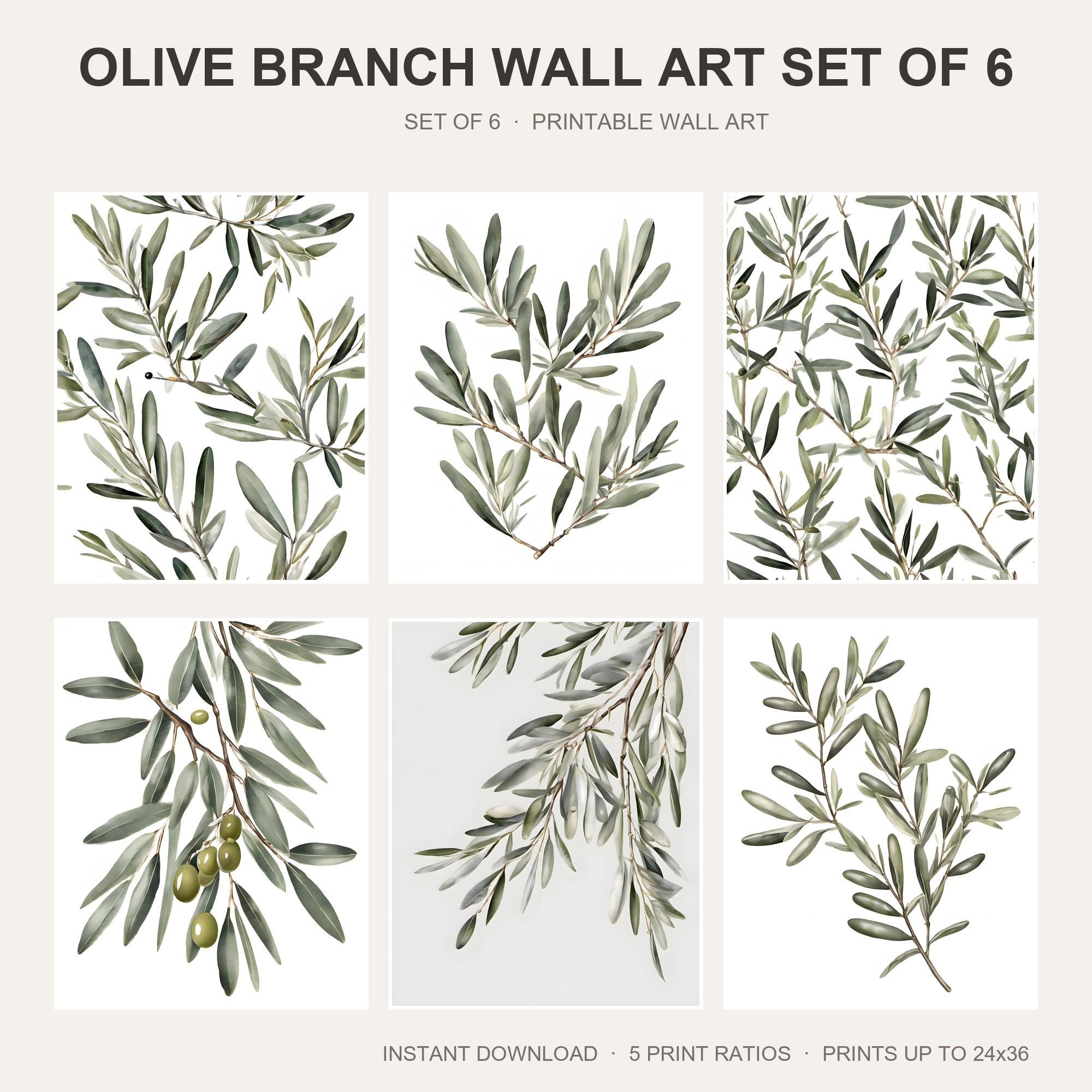 Olive Branch Wall Art Set of 6 | Minimalist Botanical Printable Wall Art | Mediterranean S