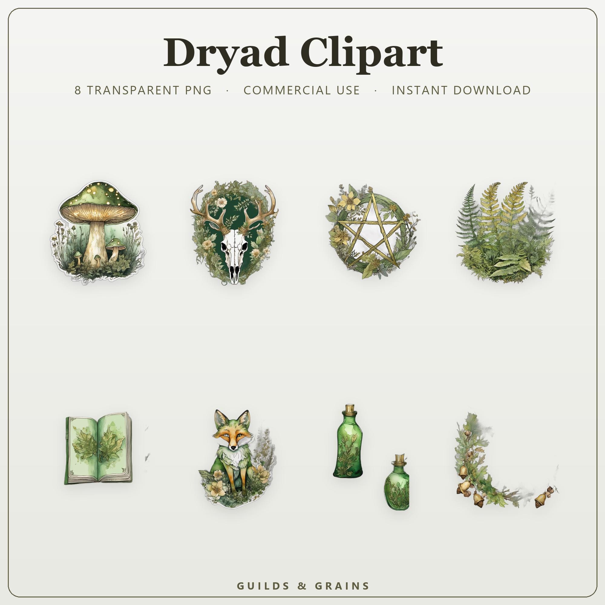 Dryad Clipart PNG Bundle