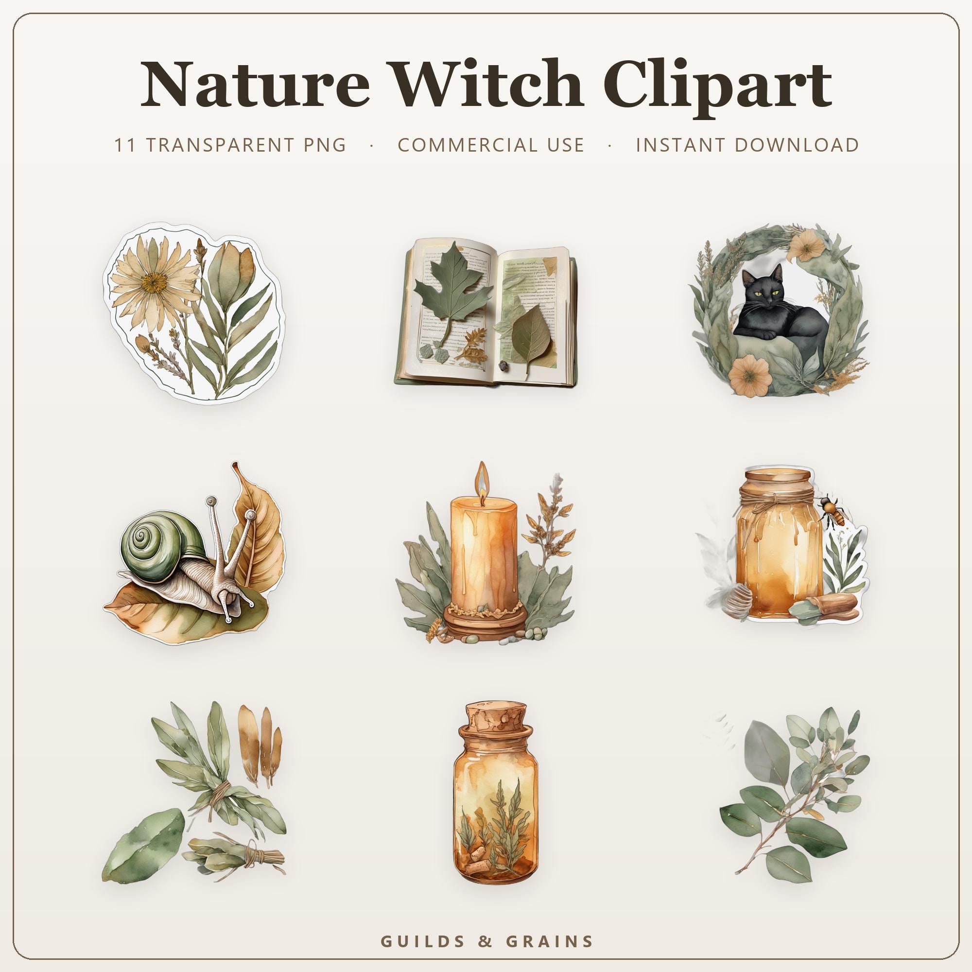 Nature Witch Clipart PNG Bundle | 11 Transparent Clipart Graphics | Commercial Use Sublima