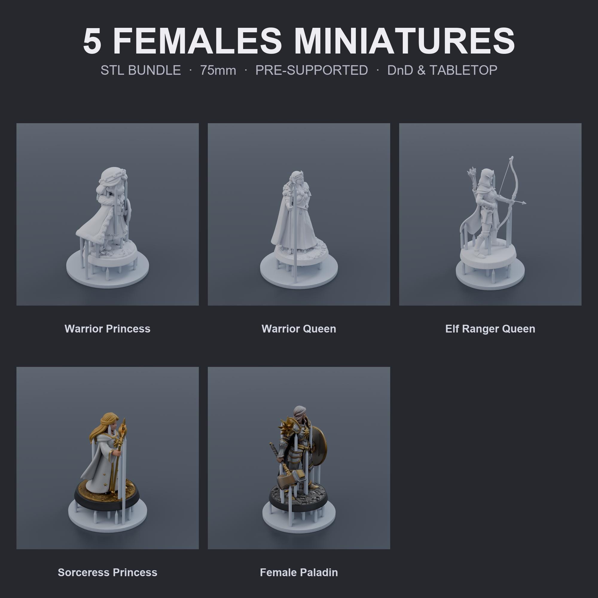 Female Hero Miniatures STL Bundle | 5 Warrior Women | 75mm Pre-Supported | Tabletop RPG Re
