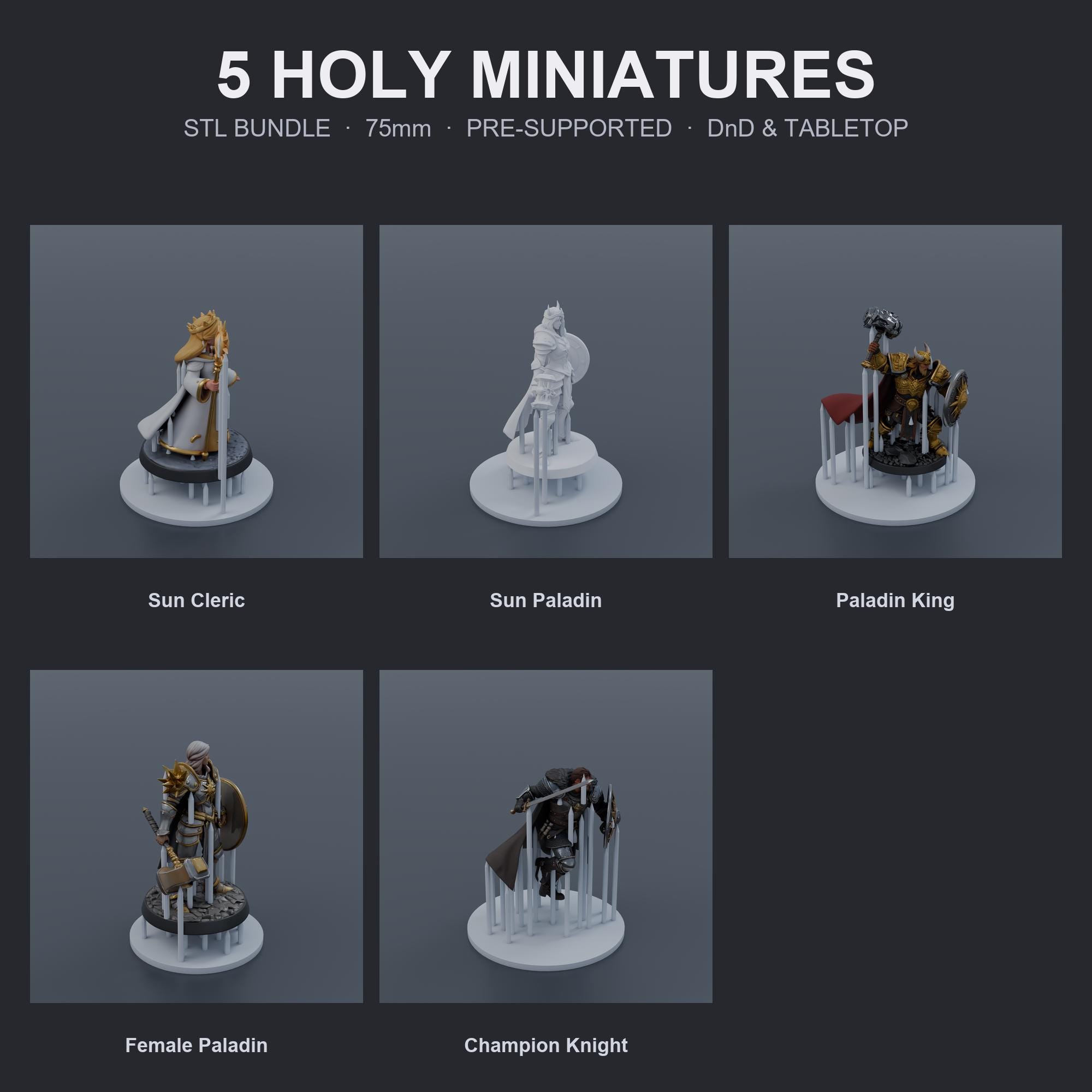 Holy Warriors STL Bundle | 5 Paladins & Clerics | 75mm Pre-Supported | Tabletop RPG Resin 