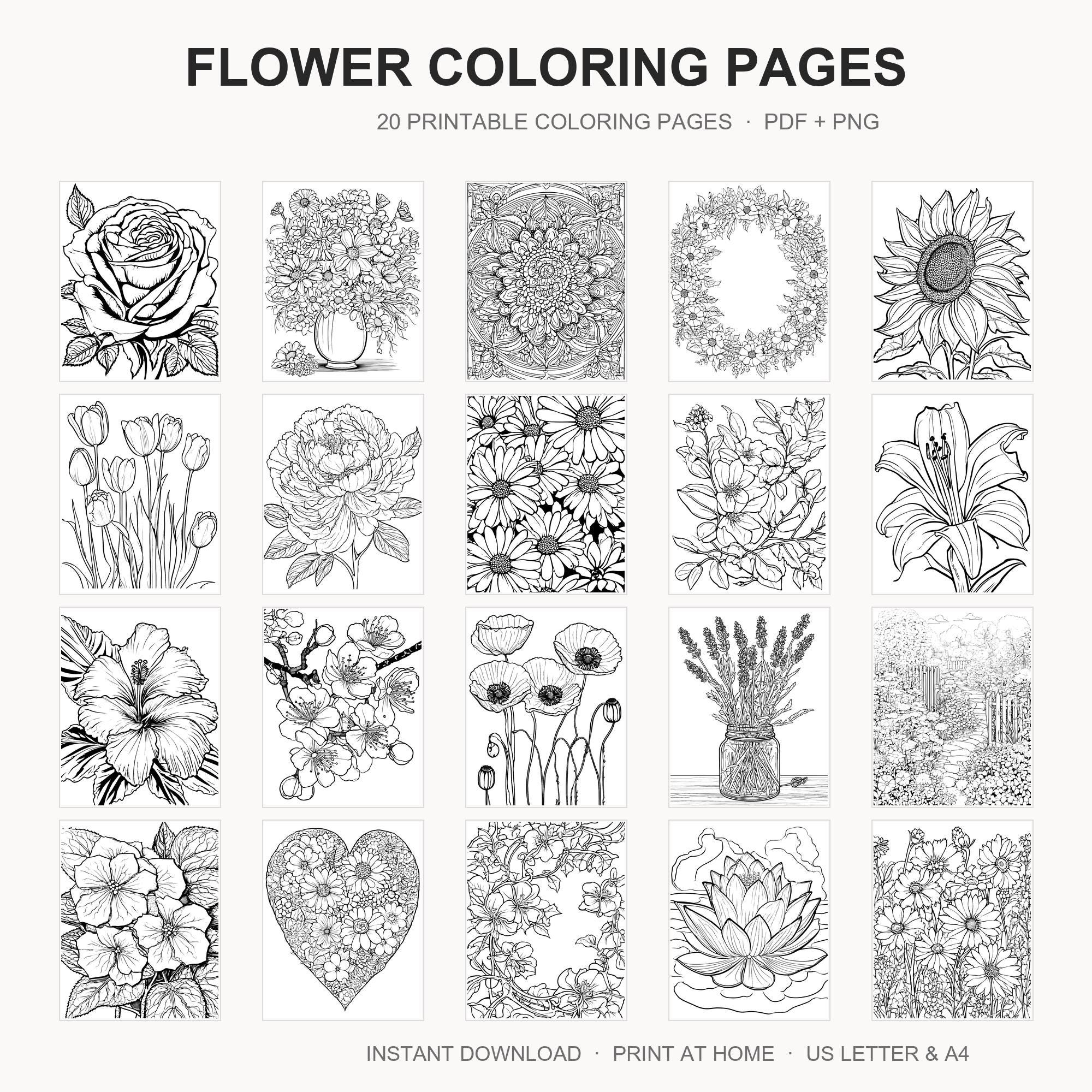 Flower Coloring Pages