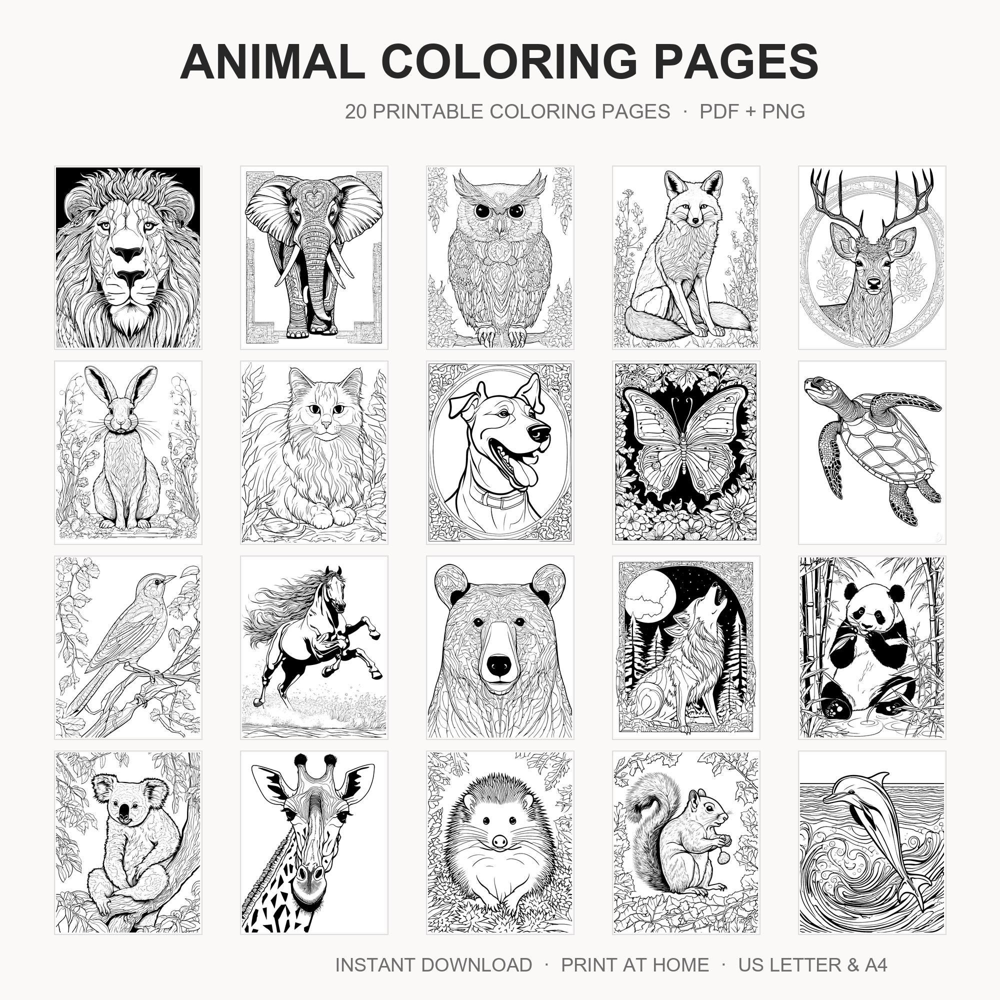 Animal Coloring Pages