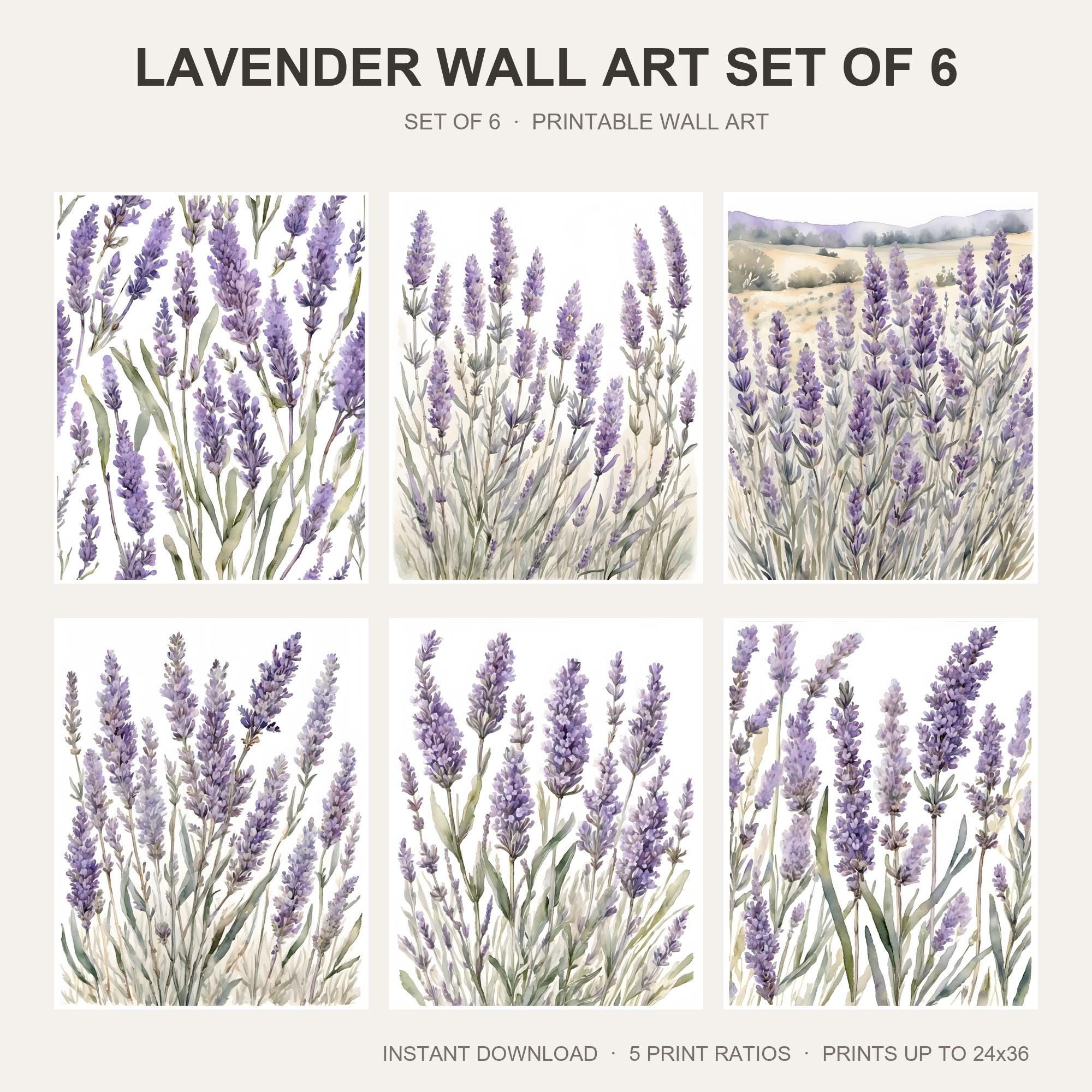 Lavender Wall Art Set of 6