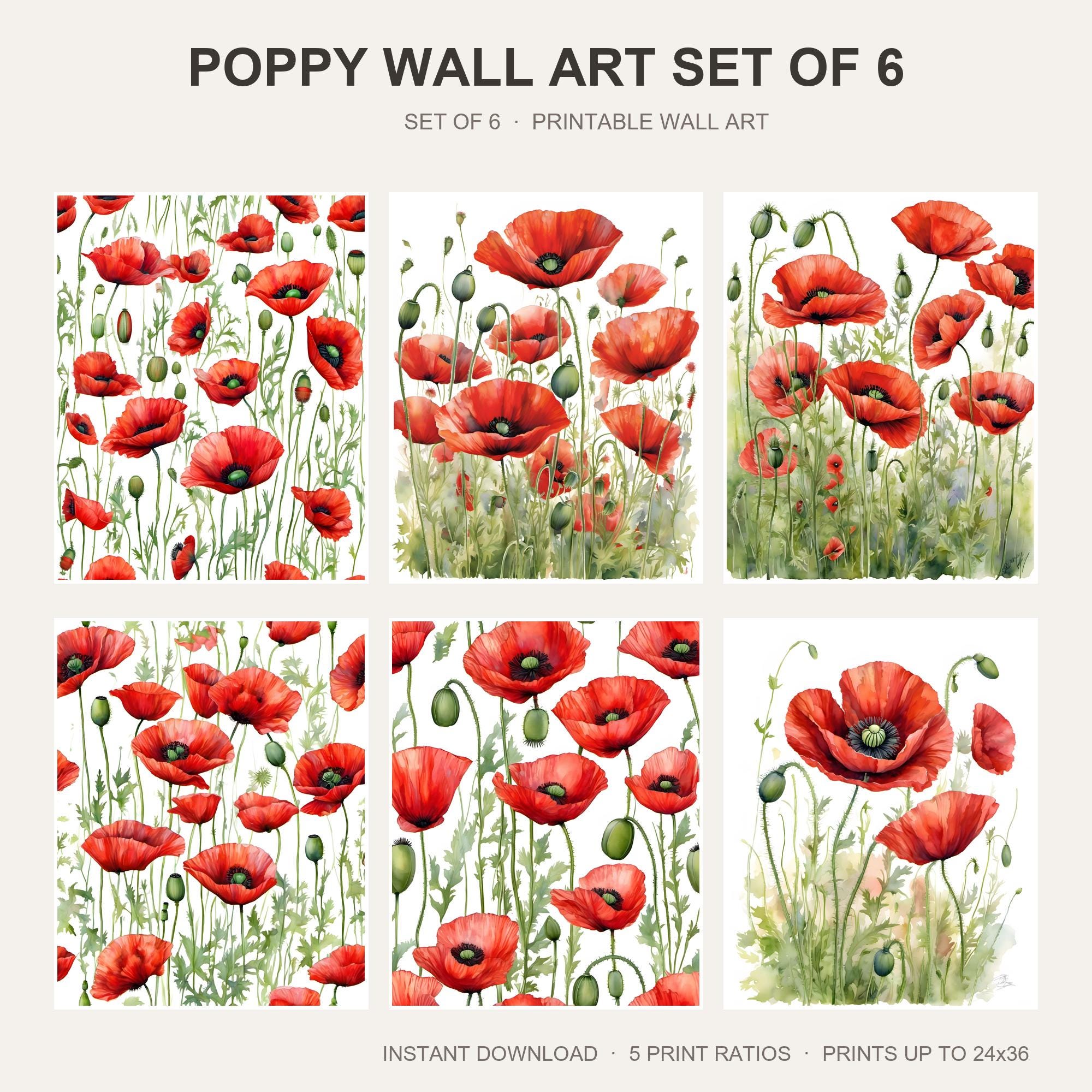 Poppy Wall Art Set of 6
