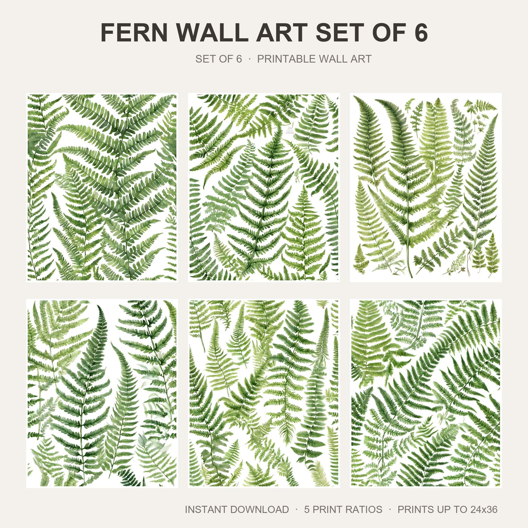 Fern Wall Art Set of 6