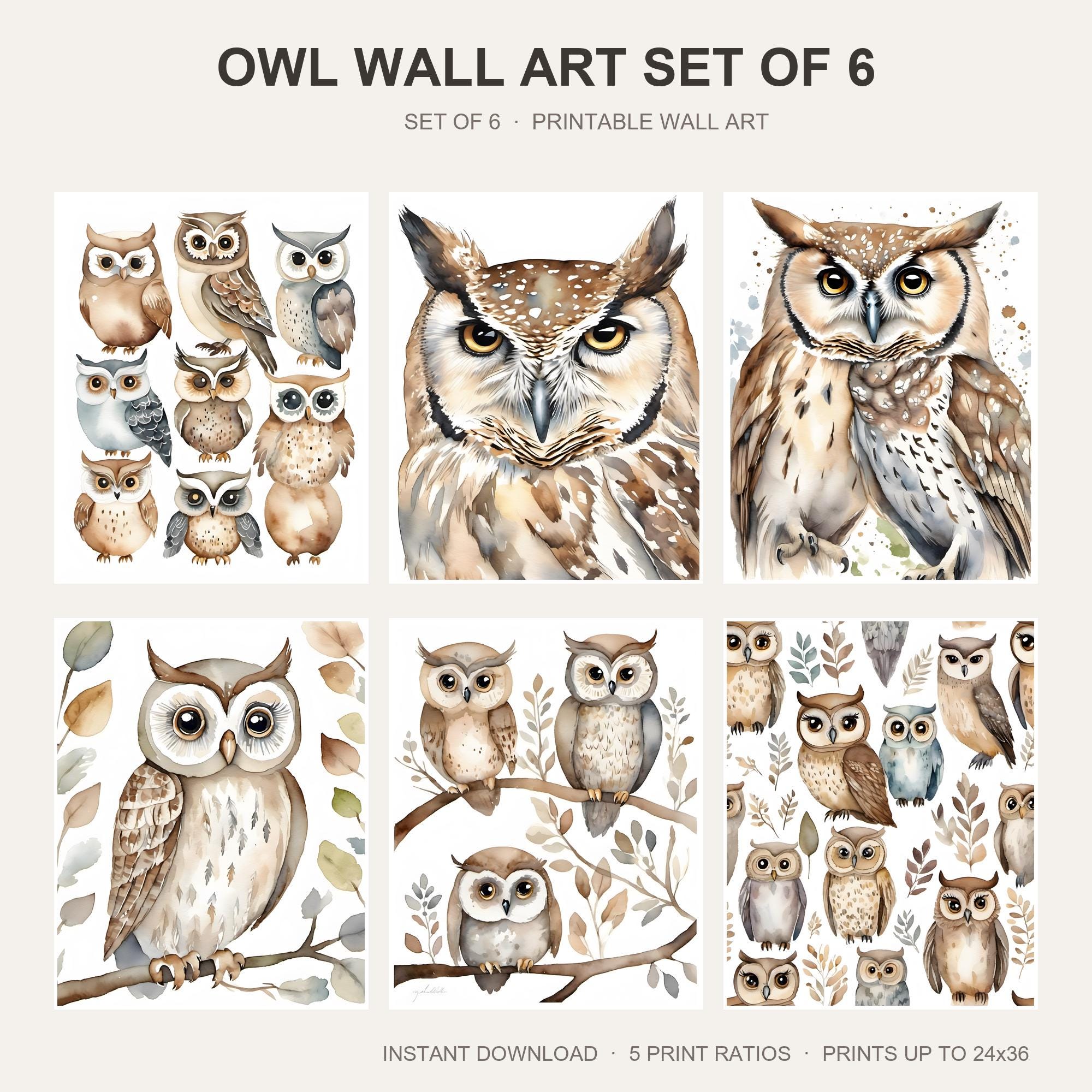 Owl Wall Art Set of 6