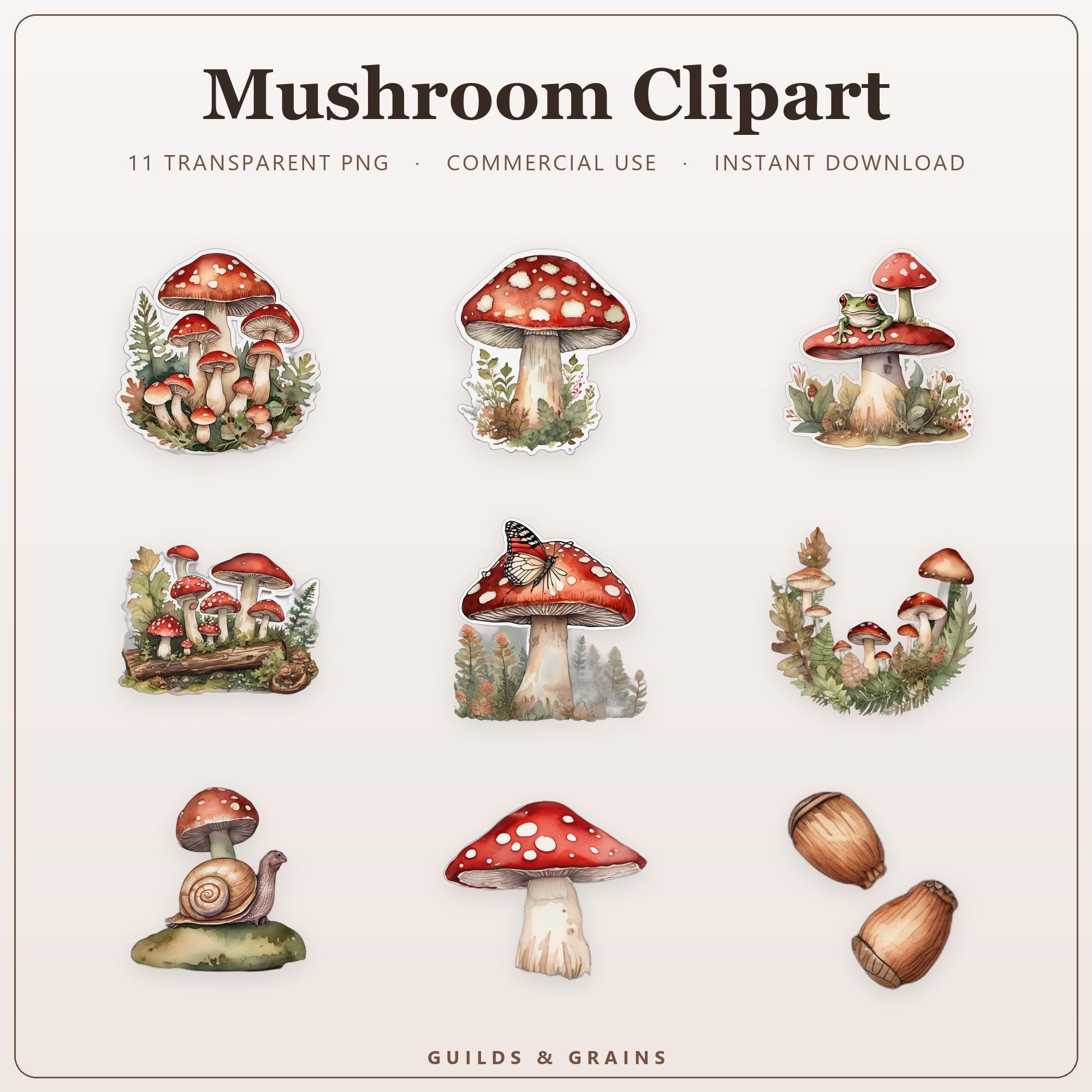 Mushroom Clipart PNG Bundle