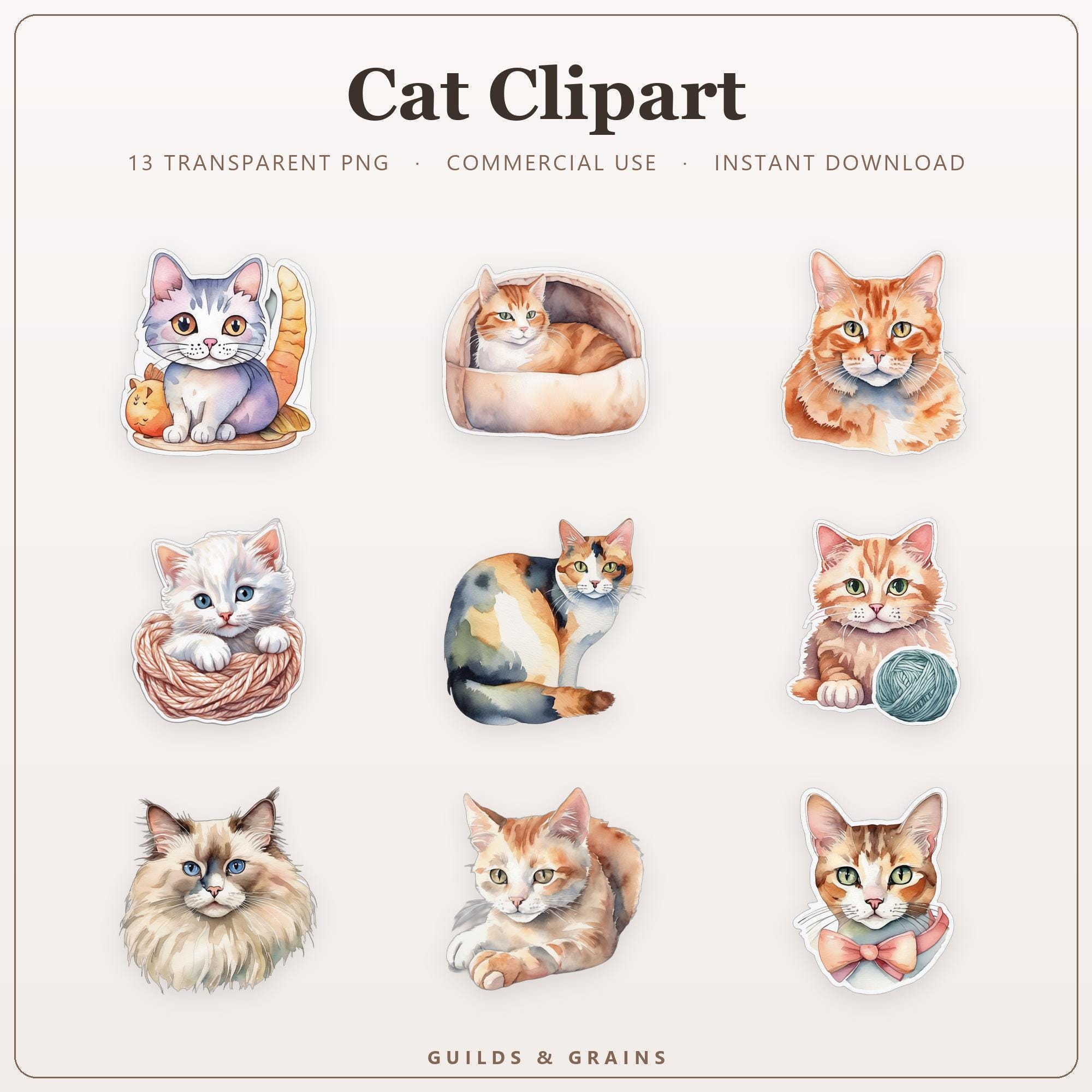 Cat Clipart PNG Bundle