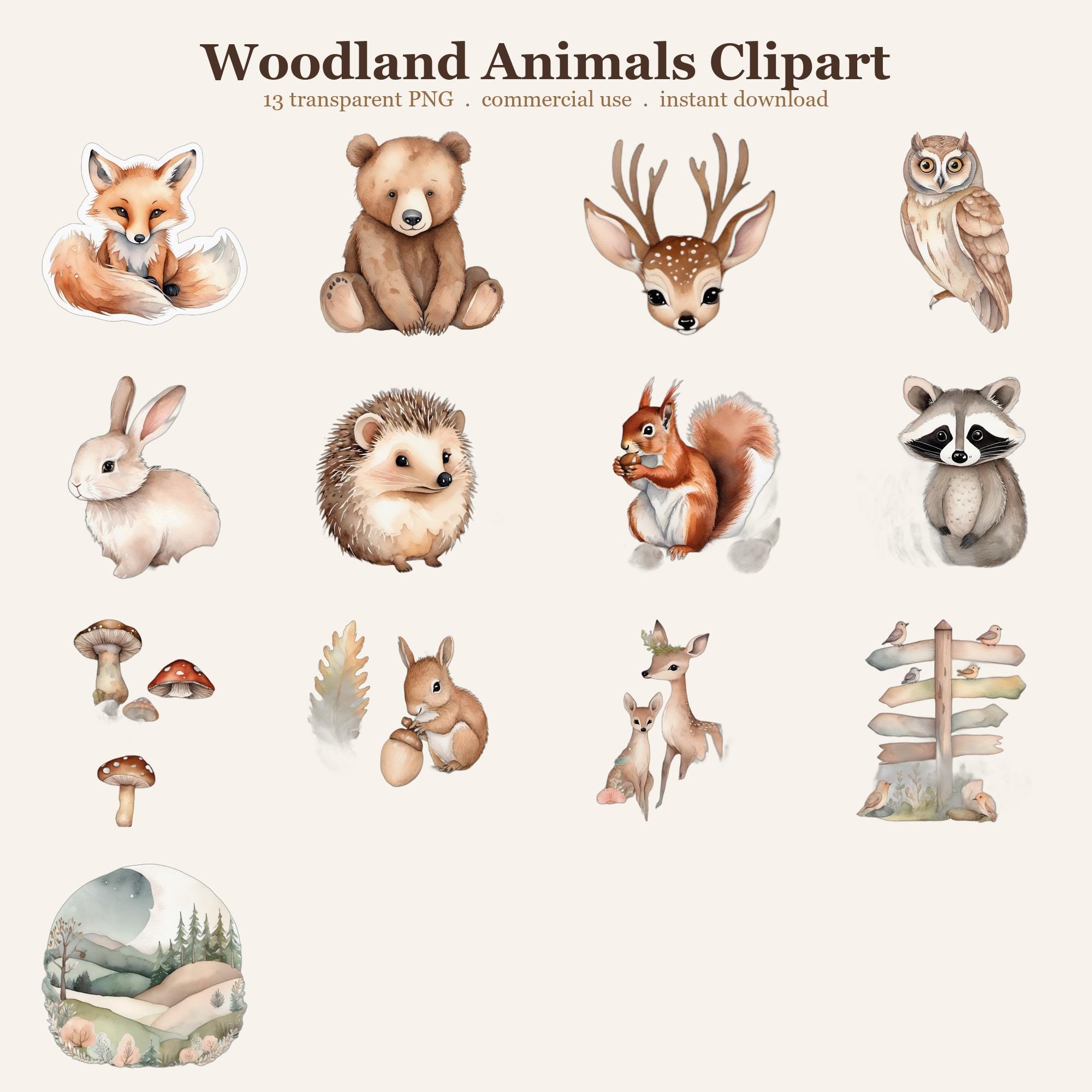 Woodland Animals Clipart PNG Bundle